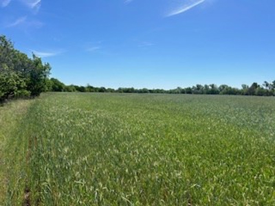 Kansas Land For Sale- Kingman County- Unit 15 - image 39