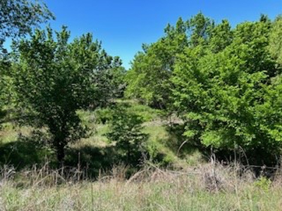 Kansas Land For Sale- Kingman County- Unit 15 - image 16