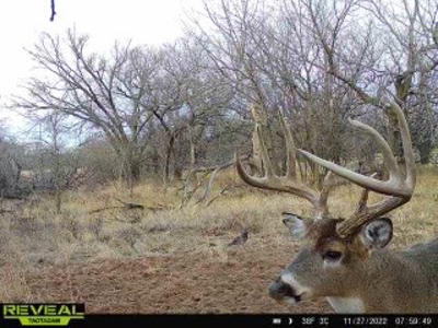 Kansas Land For Sale- Kingman County- Unit 15 - image 2
