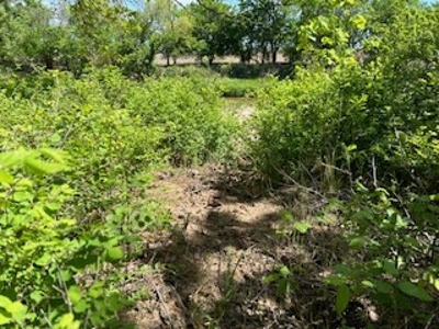 Kansas Land For Sale- Kingman County- Unit 15 - image 7