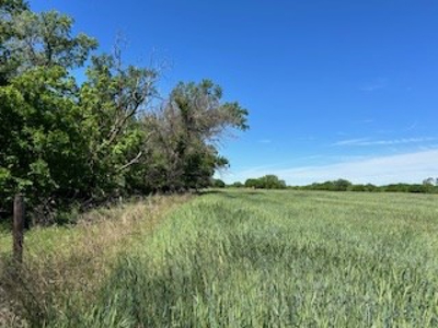 Kansas Land For Sale- Kingman County- Unit 15 - image 26