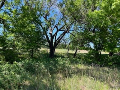 Kansas Land For Sale- Kingman County- Unit 15 - image 34