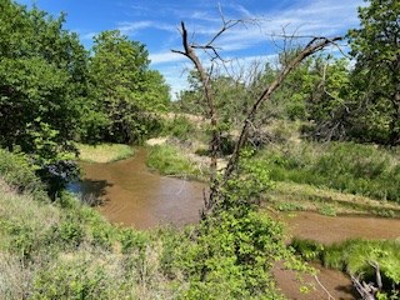 Kansas Land For Sale- Kingman County- Unit 15 - image 6
