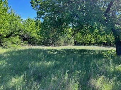 Kansas Land For Sale- Kingman County- Unit 15 - image 12