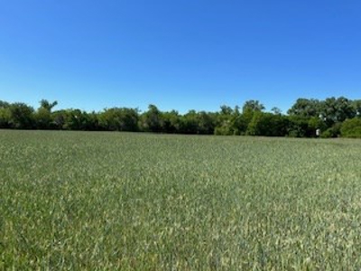 Kansas Land For Sale- Kingman County- Unit 15 - image 40