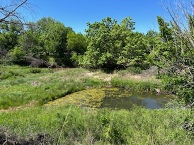 Kansas Land For Sale- Kingman County- Unit 15 - image 15