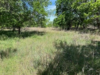 Kansas Land For Sale- Kingman County- Unit 15 - image 4