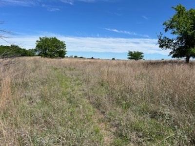 Kansas Land For Sale- Kingman County- Unit 15 - image 14