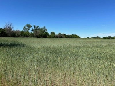 Kansas Land For Sale- Kingman County- Unit 15 - image 24