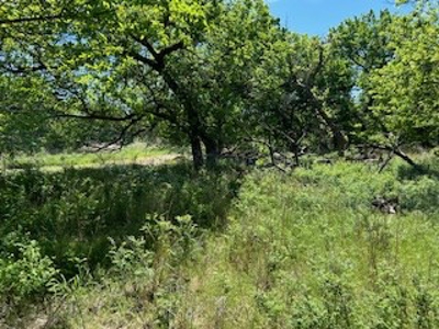 Kansas Land For Sale- Kingman County- Unit 15 - image 5