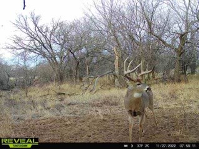 Kansas Land For Sale- Kingman County- Unit 15 - image 3
