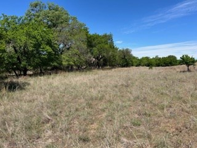 Kansas Land For Sale- Kingman County- Unit 15 - image 17