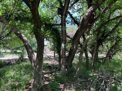 Kansas Land For Sale- Kingman County- Unit 15 - image 36