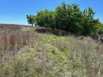 Kansas Land For Sale- Kingman County- Unit 15 - image 33
