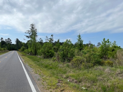 Cleared /Open Land W/ State Hwy near Sparkman, AR for Sale - image 3