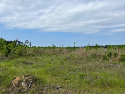 Cleared /Open Land W/ State Hwy near Sparkman, AR for Sale - image 1