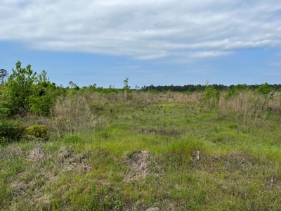 Cleared /Open Land W/ State Hwy near Sparkman, AR for Sale - image 4