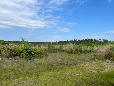 Cleared /Open Land W/ State Hwy near Sparkman, AR for Sale - image 2