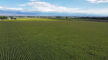 Land For Sale in Colorado with Water Rights - image 18