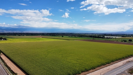 Land For Sale in Colorado with Water Rights - image 13