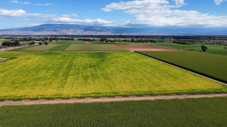 Land For Sale in Colorado with Water Rights - image 16
