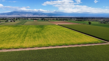 Land For Sale in Colorado with Water Rights - image 15