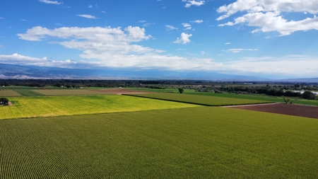 Land For Sale in Colorado with Water Rights - image 14