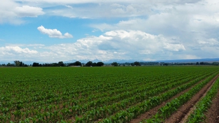 Land For Sale in Colorado with Water Rights - image 6