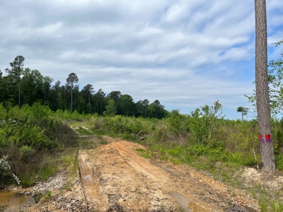 Harvested Land W/ Gravel RD for Sale Dallas County, Arkansas - image 3