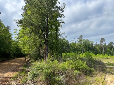 Harvested Land W/ Gravel RD for Sale Dallas County, Arkansas - image 7