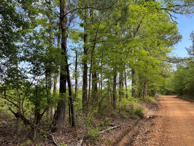 Harvested Land W/ Gravel RD for Sale Dallas County, Arkansas - image 1
