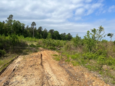 Harvested Land W/ Gravel RD for Sale Dallas County, Arkansas - image 6
