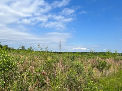 Harvested Land W/ Gravel RD for Sale Dallas County, Arkansas - image 5