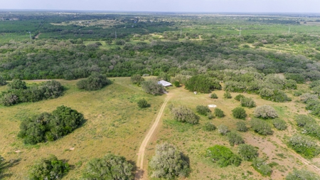 Acreage for Sale outside Beeville, TX - image 8