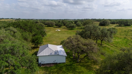 Acreage for Sale outside Beeville, TX - image 30