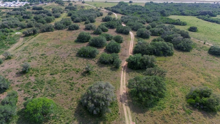 Acreage for Sale outside Beeville, TX - image 34