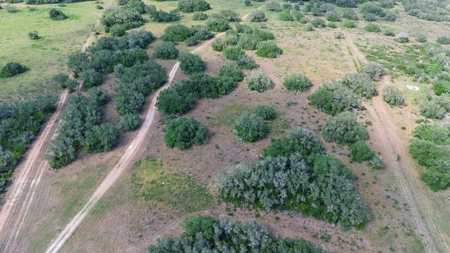 Acreage for Sale outside Beeville, TX - image 6