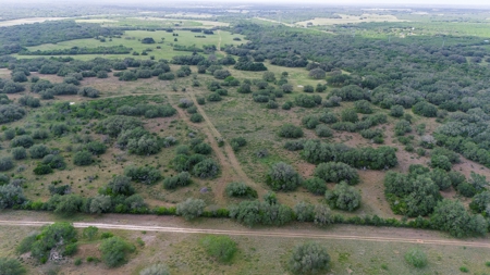 Acreage for Sale outside Beeville, TX - image 35