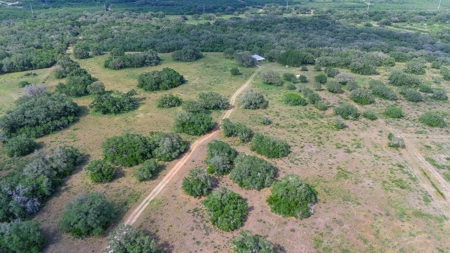 Acreage for Sale outside Beeville, TX - image 7