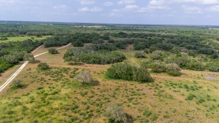 Acreage for Sale outside Beeville, TX - image 5