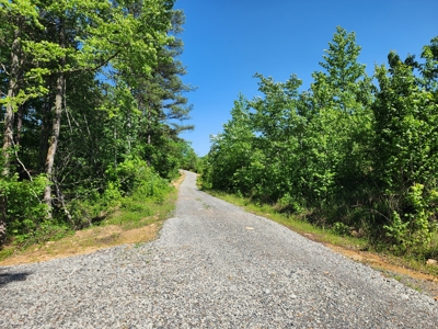 The Preserve at Boktuklo Mountain – For Sale - image 4