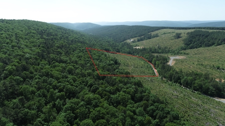 The Preserve at Boktuklo Mountain – For Sale - image 1