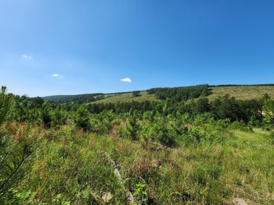 The Preserve at Boktuklo Mountain – For Sale - image 7