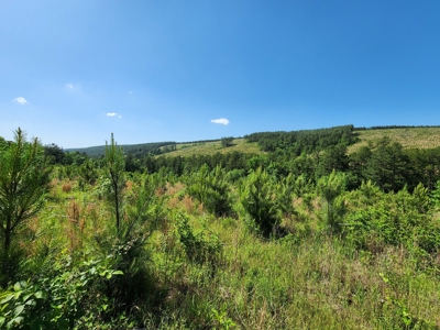 The Preserve at Boktuklo Mountain – For Sale - image 8