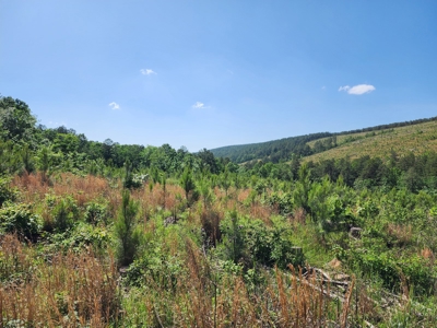 The Preserve at Boktuklo Mountain – For Sale - image 6