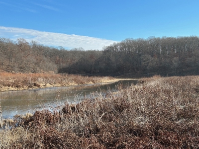 Duck and Deer Hunter's Paradise in Osceola, MO - image 7