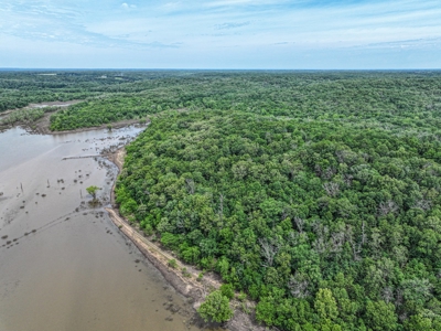 Duck and Deer Hunter's Paradise in Osceola, MO - image 13