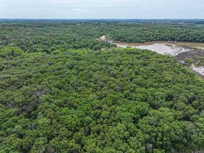 Duck and Deer Hunter's Paradise in Osceola, MO - image 11