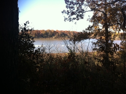 Duck and Deer Hunter's Paradise in Osceola, MO - image 1