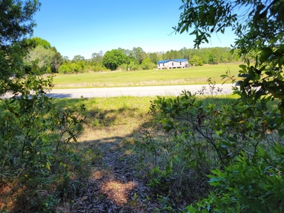 20 Acres Of Secluded Woods In North Florida - image 20